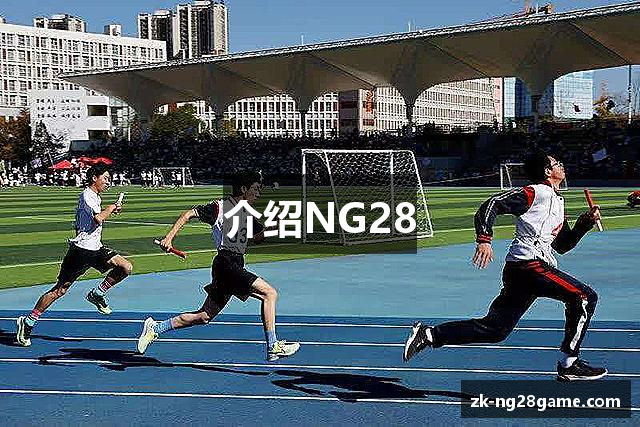 介绍NG28